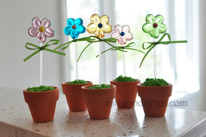 Candy Flower Planters